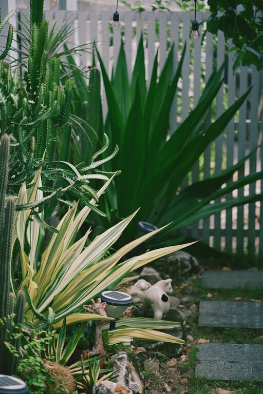 Tips for Creating a Relaxing Home Garden Space